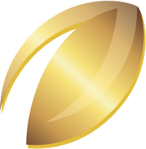 Gold football icon